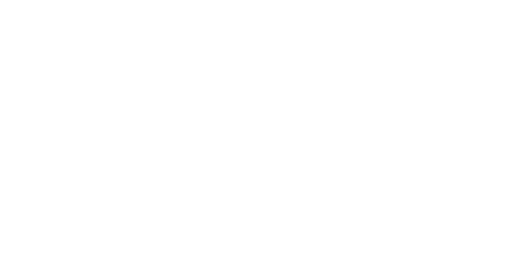 logo sukceswinternecie roberrt duda poziom biały